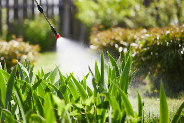 Tamper-Resistant Bait Stations for Rodents in Warrenton