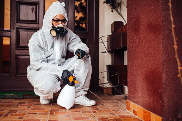 Attic and Crawl Space Rodent Treatment in Warrenton