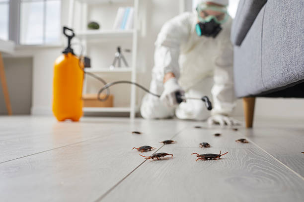 Commercial Rodent Management in Warrenton